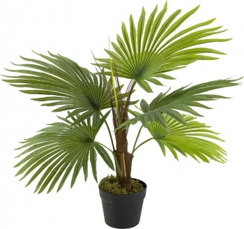 Растение декоративное искусственное Palm Tree 48X68X80 CM