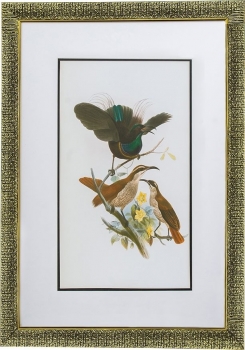 Комплект из двух постеров в раме Bird 50X70 / 50X70 CM