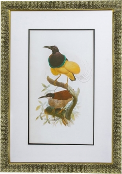 Комплект из двух постеров в раме Bird 50X70 / 50X70 CM
