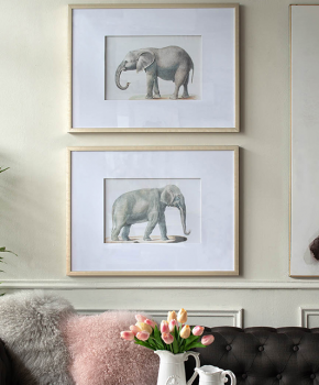Диптих Elephant 80X60 / 80X60 CM