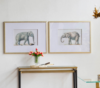 Диптих Elephant 80X60 / 80X60 CM