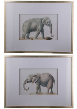 Диптих Elephant 80X60 / 80X60 CM