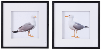 Набор из двух постеров Seagulls 56X56 CM