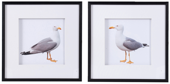 Набор из двух постеров Seagulls 56X56 CM 1