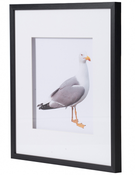 Набор из двух постеров Seagulls 56X56 CM