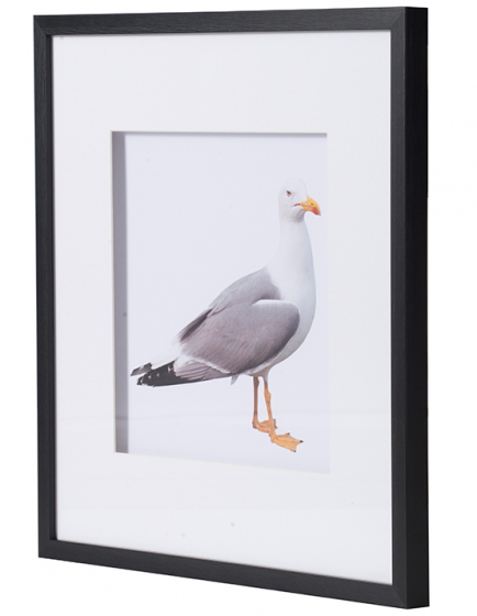 Набор из двух постеров Seagulls 56X56 CM 3