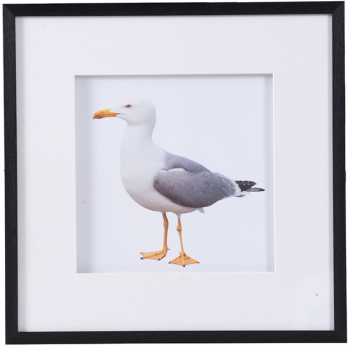 Набор из двух постеров Seagulls 56X56 CM
