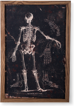 Картина Le plan The Bones 40X60 CM