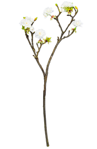 Растение искусственное Prunus Avium 11X24X64 CM