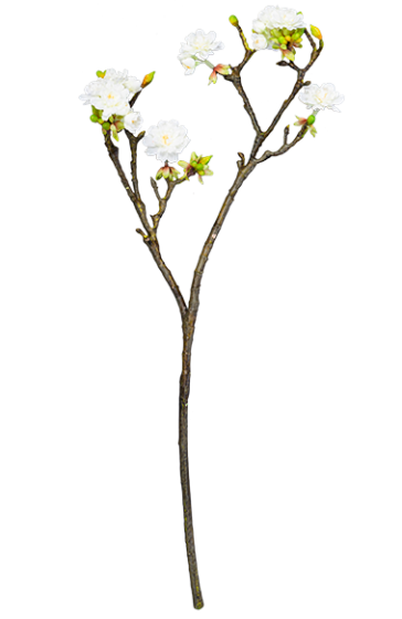 Растение искусственное Prunus Avium 11X24X64 CM 1