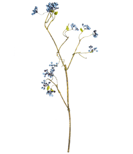 Искусственное растение Orchis Militaris 40X22X97 CM