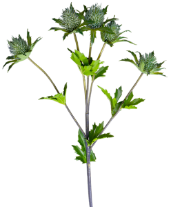 Растение искусственное Carduus 37X37X70 CM