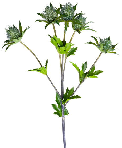 Растение искусственное Carduus 37X37X70 CM 1