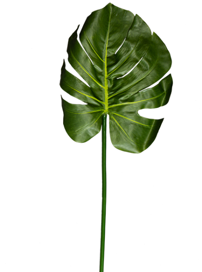 Растение искусственное Turtle Leaf 80X24 CM 1