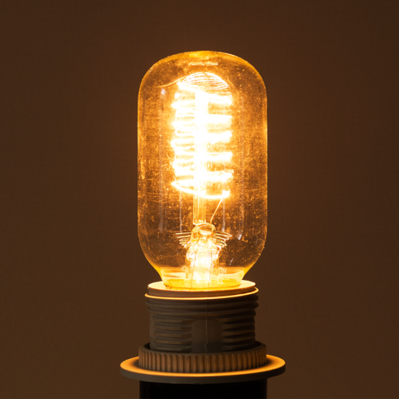 Лампа Эдисона Е27 T45/110 40Вт 2