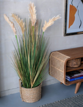 Растение декоративное Cortaderia 35X35X115 CM