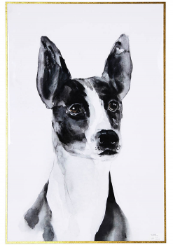 Постер Dog 81X120 CM