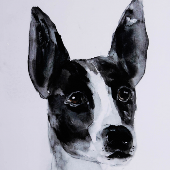 Постер Dog 81X120 CM