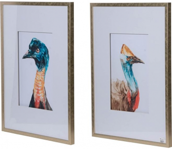 Набор из двух постеров Cassowaries 60X80 / 60X80 CM