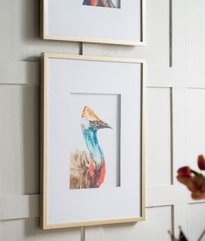 Набор из двух постеров Cassowaries 60X80 / 60X80 CM