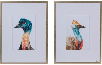 Набор из двух постеров Cassowaries 60X80 / 60X80 CM