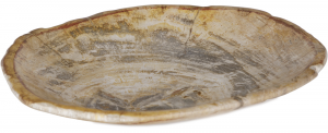 Блюдо из окаменелого дерева Risana 18X22X3 CM