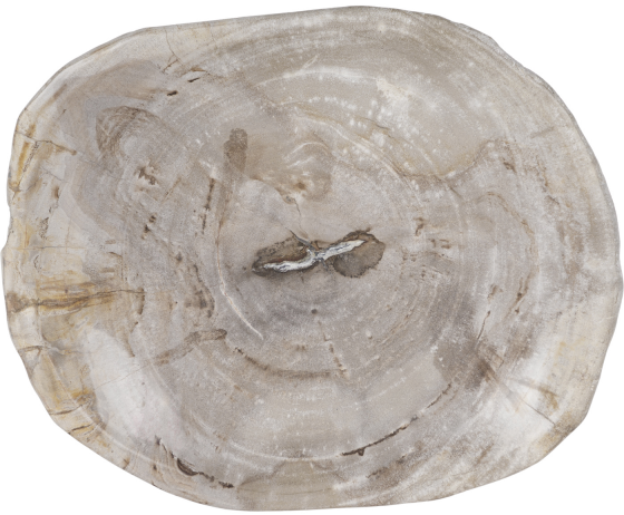 Блюдо из окаменелого дерева Risana 18X22X3 CM 2