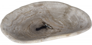 Блюдо из окаменелого дерева Risana 18X22X3 CM