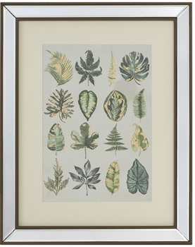 Постер Botanic 40X50 CM