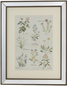 Постер Botanic 40X50 CM