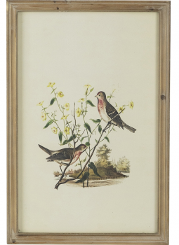 Тетраптих Arien 40X60 / 40X60 / 40X60 / 40X60 CM