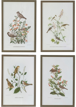 Набор из четырёх постеров Flora 40X60 / 40X60 / 40X60 / 40X60 CM