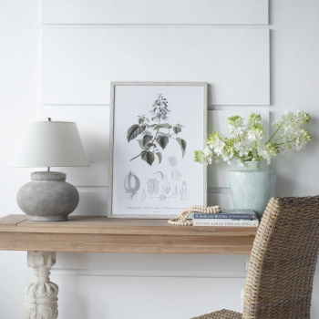 Комплект из четырёх постеров Botanical 50X70 / 50X70 / 50X70 / 50X70 CM
