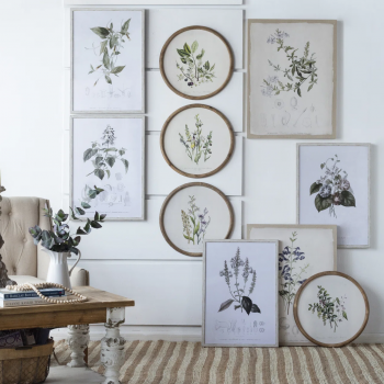 Комплект из четырёх постеров Botanical 50X70 / 50X70 / 50X70 / 50X70 CM