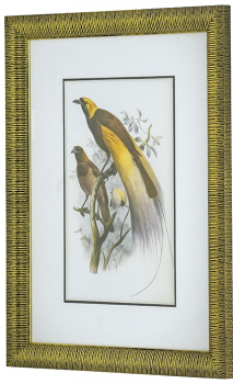 Диптих Birds of Paradise 60X80 / 60X80 CM
