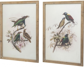 Постеры Birds 50X70 / 50X70 CM