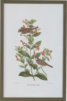 Постеры Birds 40X60 / 40X60 / 40X60 / 40X60 CM