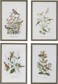 Постеры Birds 40X60 / 40X60 / 40X60 / 40X60 CM