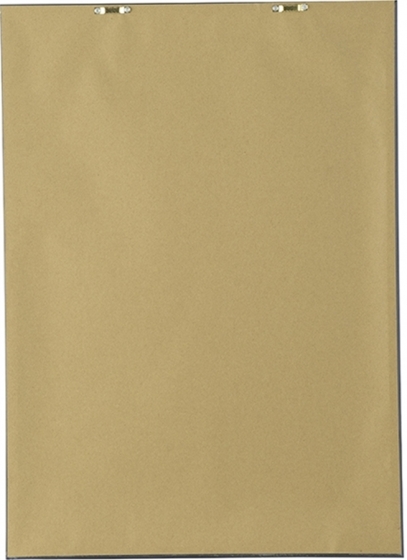 Постеры Сhestnuts 50X70 / 50X70 CM 6