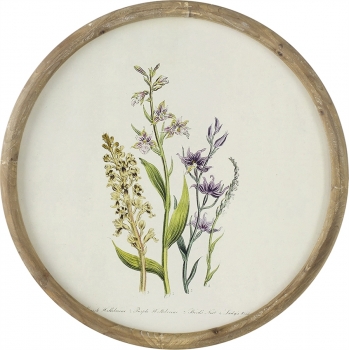 Постеры Flora Ø50 / Ø50 / Ø50 / Ø50 CM