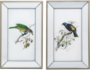 Диптих Bird 38X61 / 38X61 CM