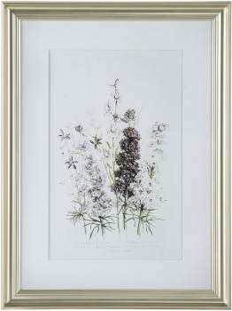Постеры Wild flowers 42X62 / 60X80 / 42X62 CM