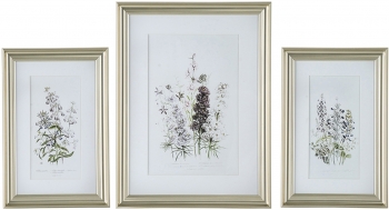 Постеры Wild flowers 42X62 / 60X80 / 42X62 CM