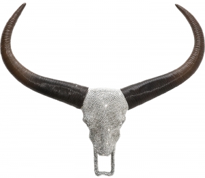 Украшение настенное Antler Bull Head 60X52 CM