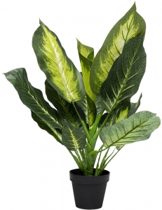Искусственное растение Dieffenbachia 30X30X50 CM
