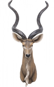 Украшение настенное Antilope 41X30X100 CM