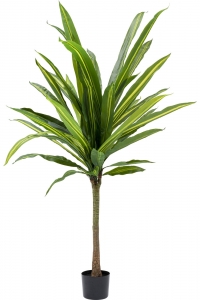 Искусственное растение Dracaena 40X30X180 CM