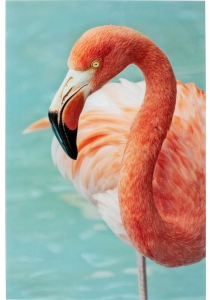 Постер на стекле Flamingo 80X120 CM