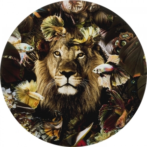 Постер на стеклянной основе Lion Ø100 CM