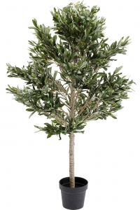 Предмет декоративный Olive Tree 50X50X120 CM